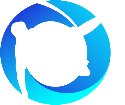 DMCA Protection Status