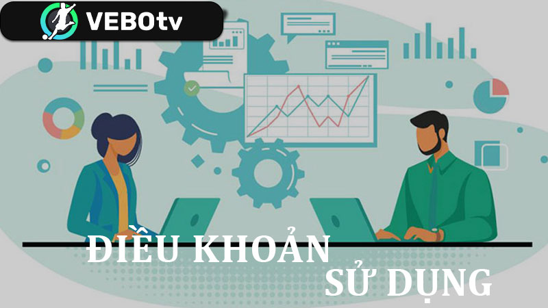 Điều khoản sử dụng tại VeboTV